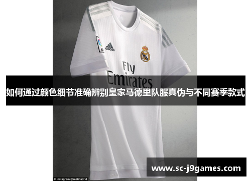 如何通过颜色细节准确辨别皇家马德里队服真伪与不同赛季款式