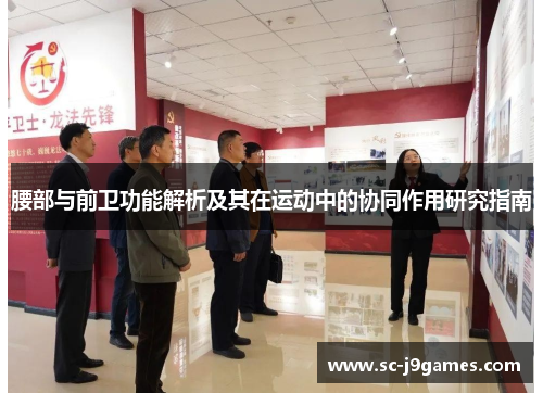 腰部与前卫功能解析及其在运动中的协同作用研究指南