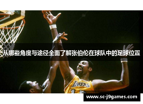 从哪些角度与途径全面了解张伯伦在球队中的足球位置