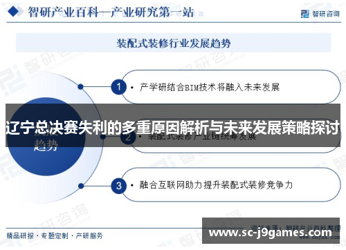 辽宁总决赛失利的多重原因解析与未来发展策略探讨