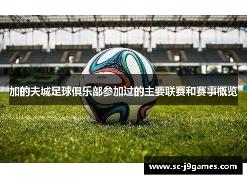 加的夫城足球俱乐部参加过的主要联赛和赛事概览