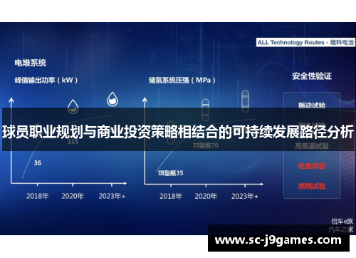 球员职业规划与商业投资策略相结合的可持续发展路径分析